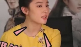 刘亦菲采访视频,揭秘女神背后的故事与心路历程